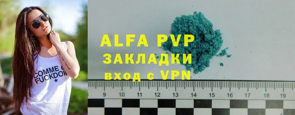 сатива Арсеньев