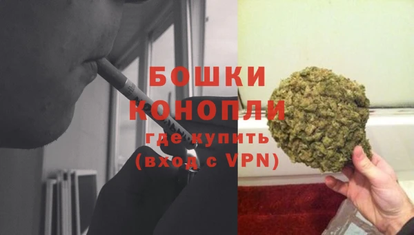 сатива Арсеньев