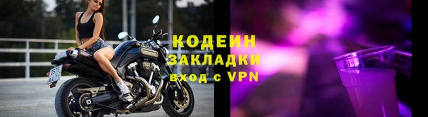 сатива Арсеньев