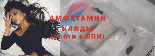 сатива Арсеньев