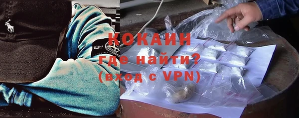 сатива Арсеньев