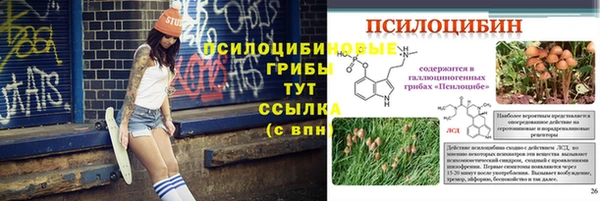 PSILOCYBIN Армянск