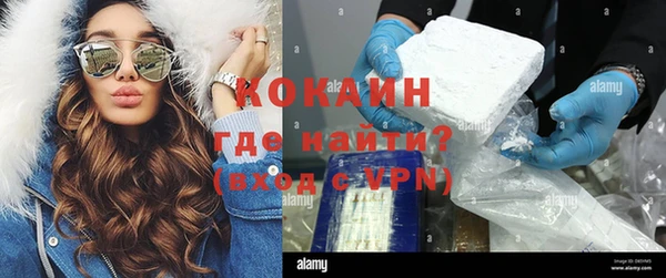 сатива Арсеньев