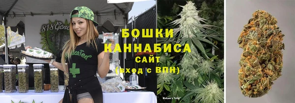 PSILOCYBIN Армянск