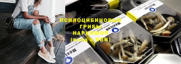 PSILOCYBIN Армянск