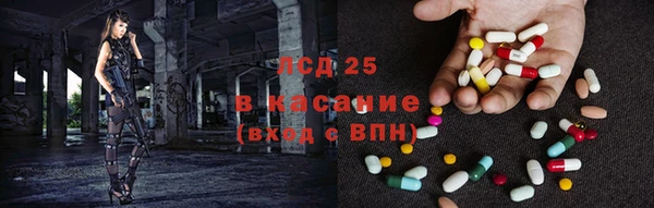сатива Арсеньев