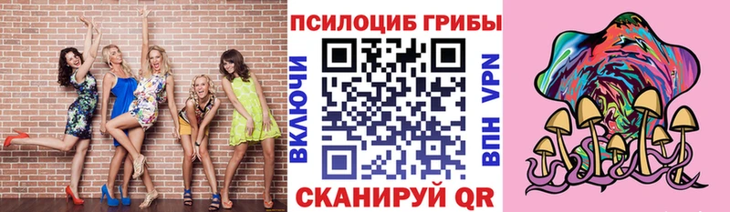 мега как зайти Лыткарино Галлюциногенные грибы Cubensis